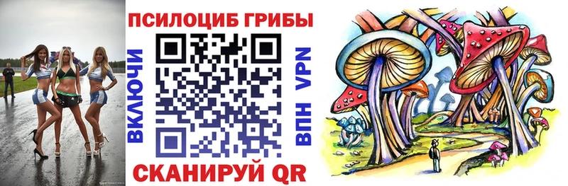 Псилоцибиновые грибы Cubensis  Купить где  Верея 